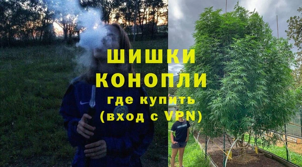 трава Алзамай