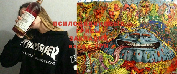 spice Алексеевка